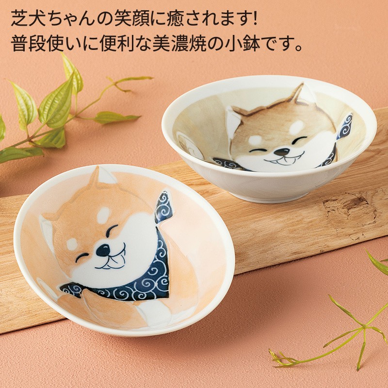 笑いぬ 小鉢