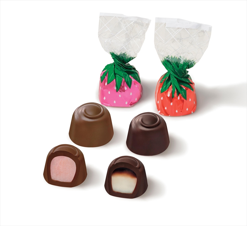 メリーチョコレートいちごのチョコレート