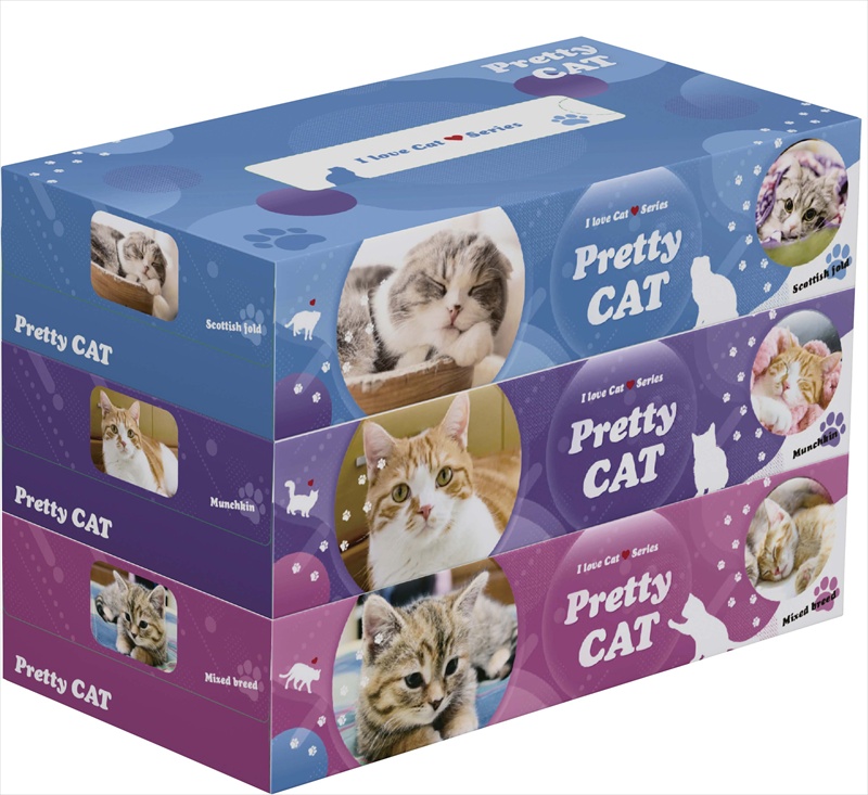 ボックスティッシュ3個組プリティキャット